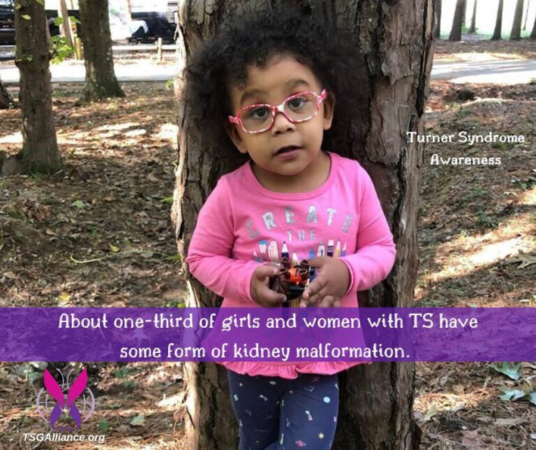 Kidney