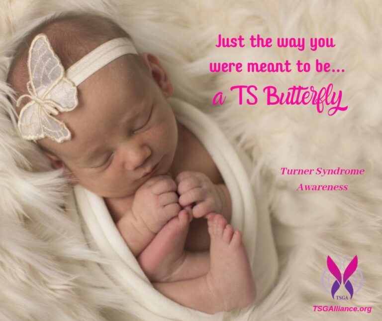 TS Butterfly