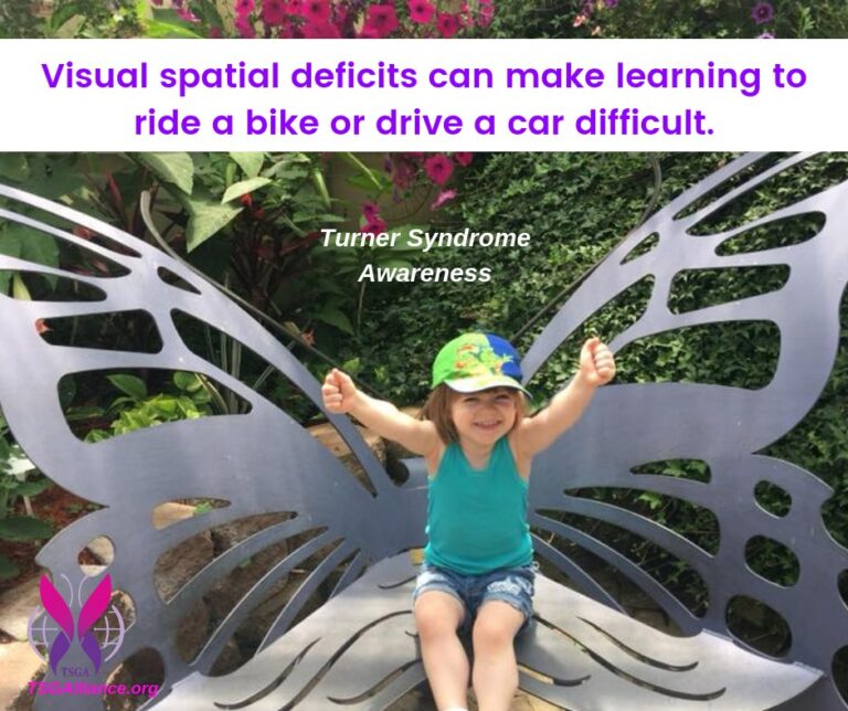 Visual spatial