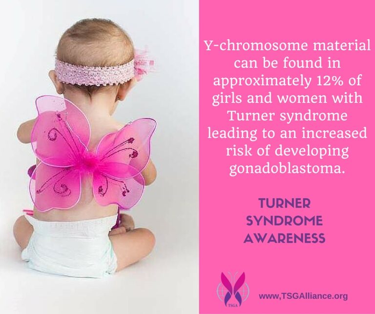 Y chromosome